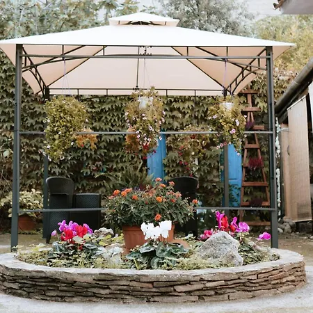 San Francesco Gialla * オリエーナ